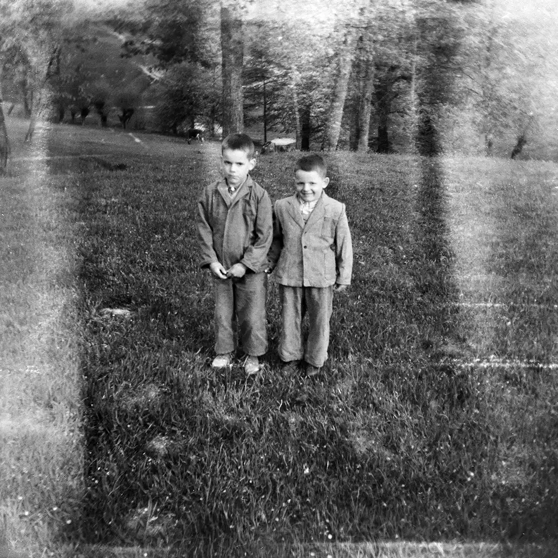 dwaj mali chłopcy stojący na łące w tle drzewa