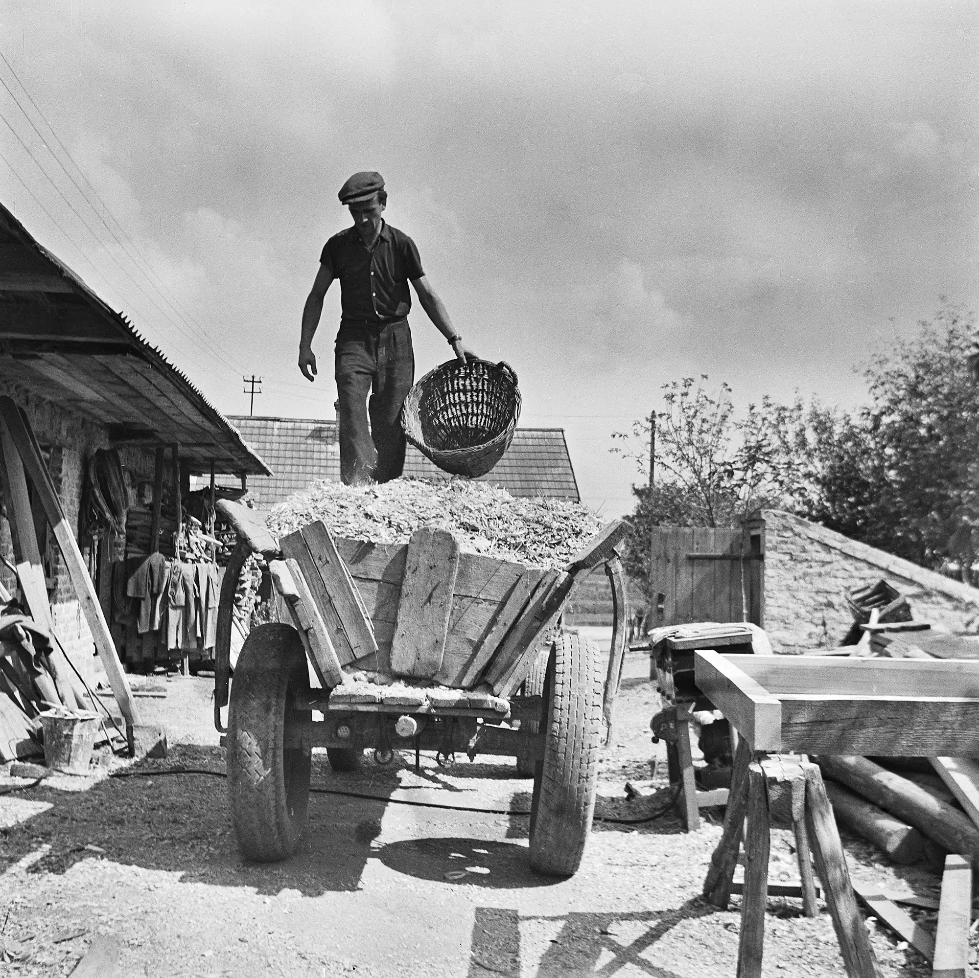 mężczyzna w trakcie pracy stoi na wozie trzymając w dłoni duży kosz