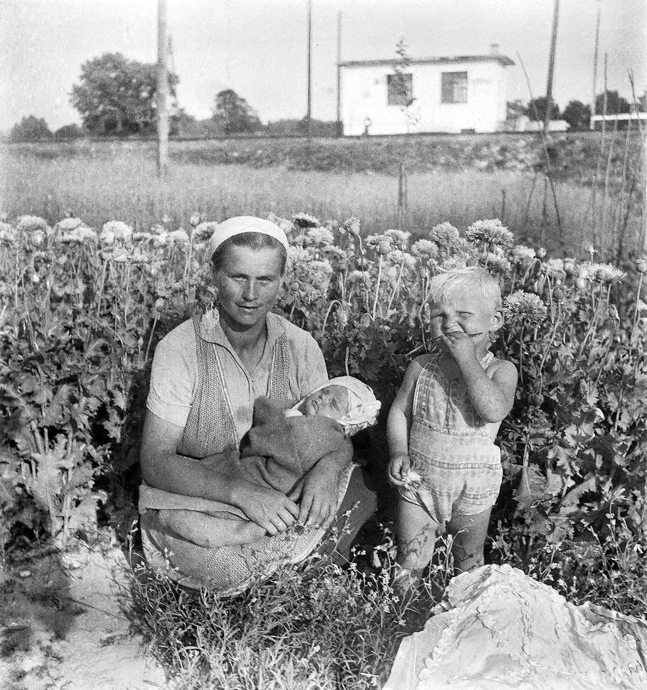 kobieta z niemowlęciem na rękach kuca wśród kwiatów słonecznika, obok niej mały chłopiec w tle dom